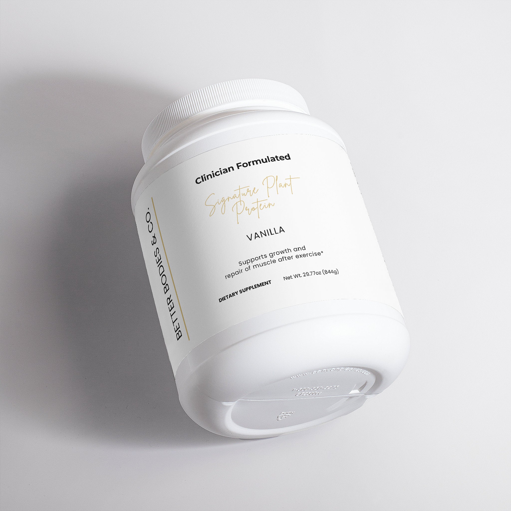Plant Protein (Vanilla)